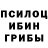 Псилоцибиновые грибы MAGIC MUSHROOMS Serega 23