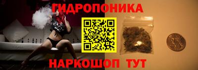 скорость Заводоуковск