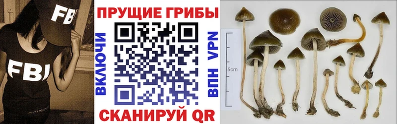 наркота  Луховицы  Галлюциногенные грибы MAGIC MUSHROOMS 